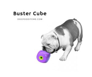 Buster Cube