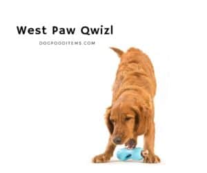 West Paw Qwizl Treat Dispensing Toy