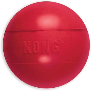 Kong ball for dogs