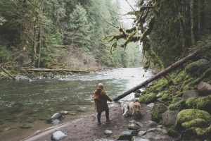 Lakes and river for dogs