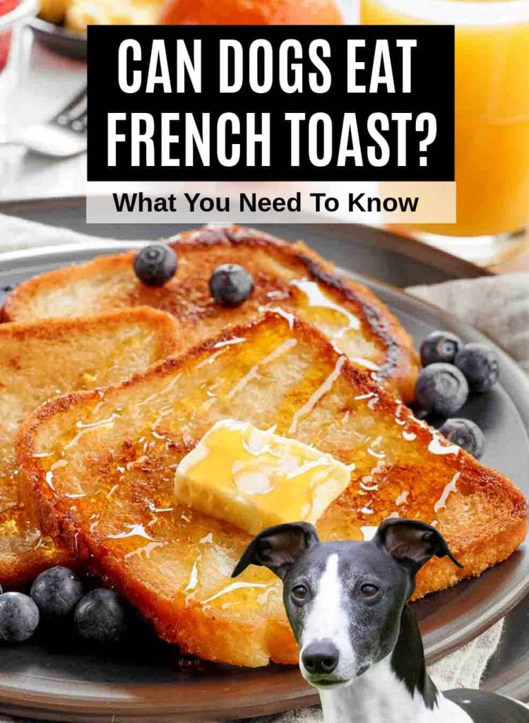 Can Dogs Eat French Toase
