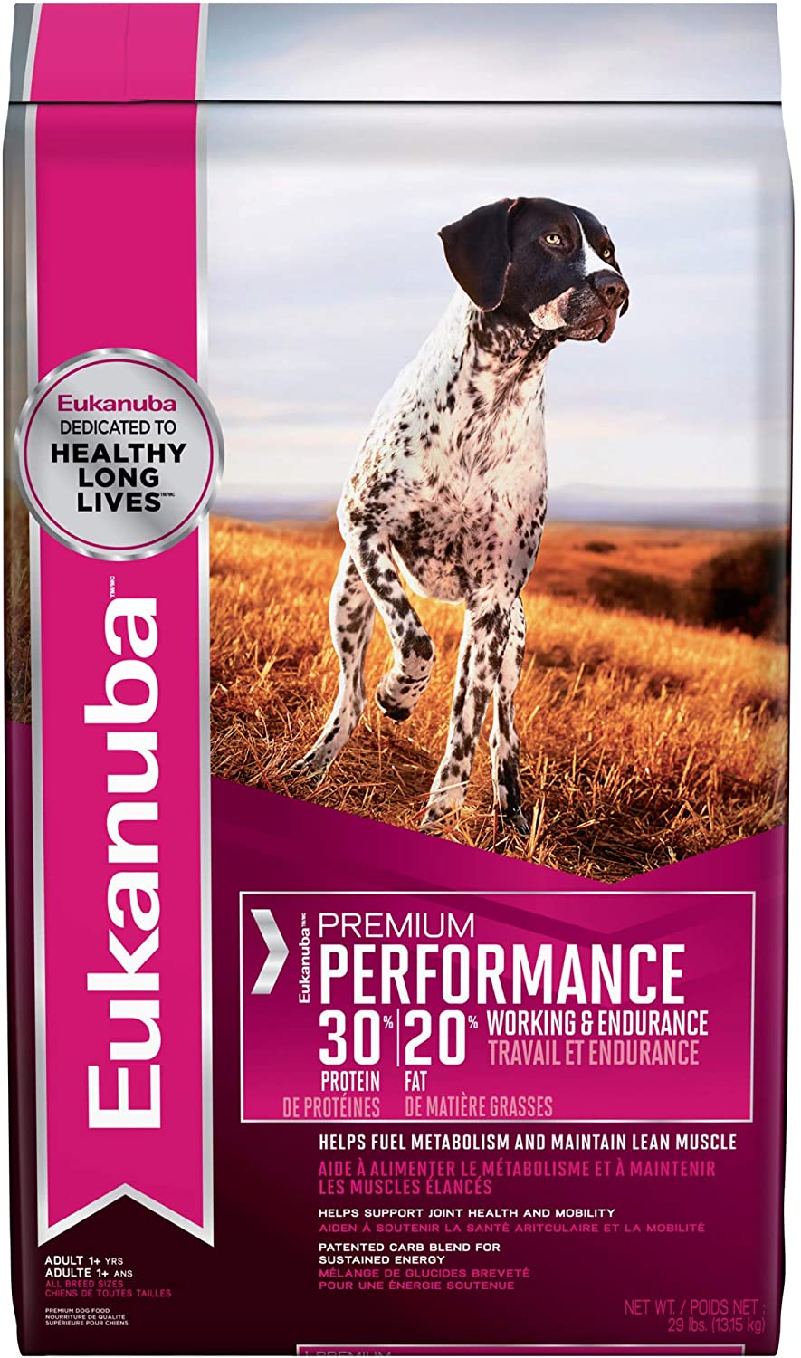 Best Vet Dog Food According to Experts 20222023
