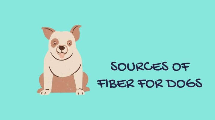 Sources of fiber for dog food