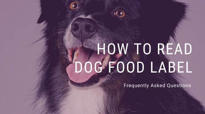 How to Read Dog Food Label