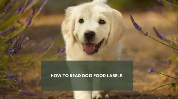 Dog Food Label guide