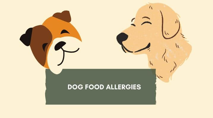 Dog Food allergies