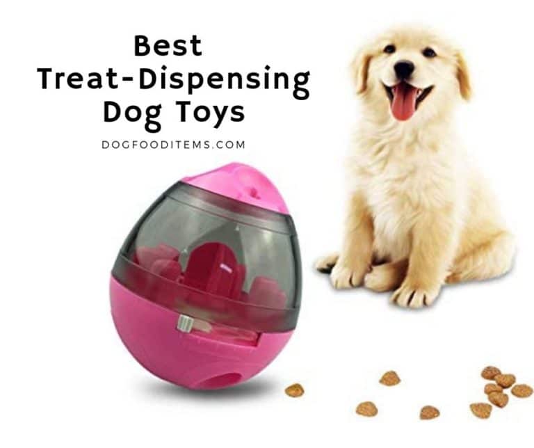 9 Best treat-Dispensing Dog toys