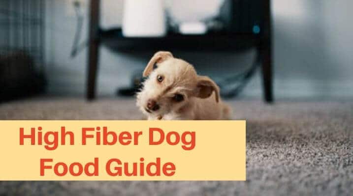 High fiber dog food