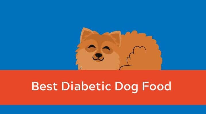 Diabetic Dog Food