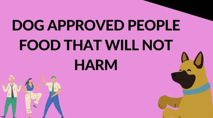 Dog Approved People Food That Will Not Harm