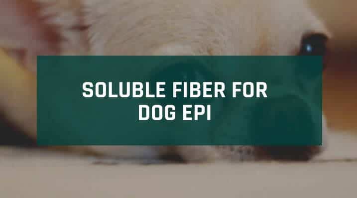 Soluble Fiber for Dog EPI