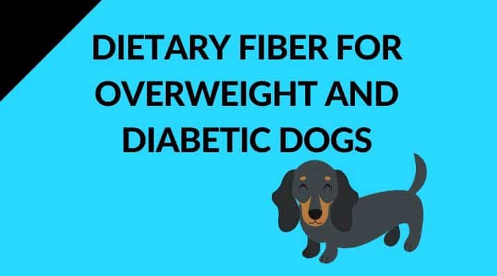 Dietary fibers for dog food