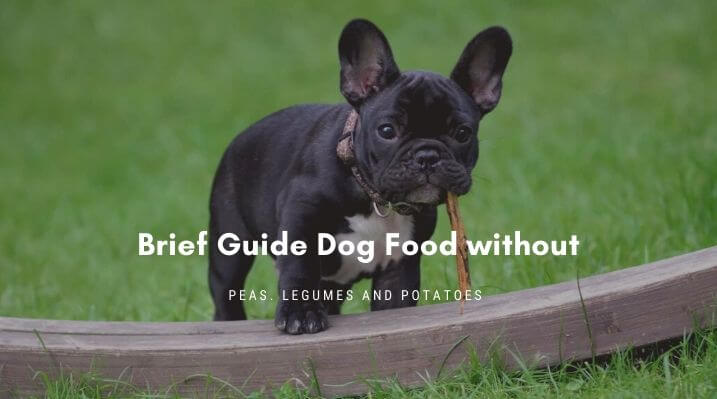 Pea free dog food