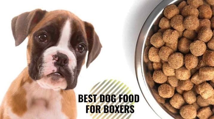 Top 5 Best Dog Food for Boxers Dogfooditems