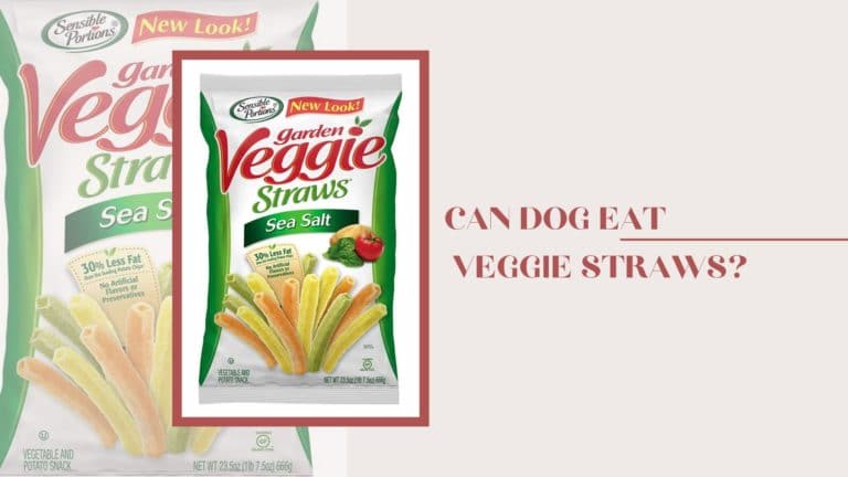 Can dog eat veggie straws