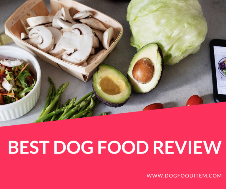 Dog food review