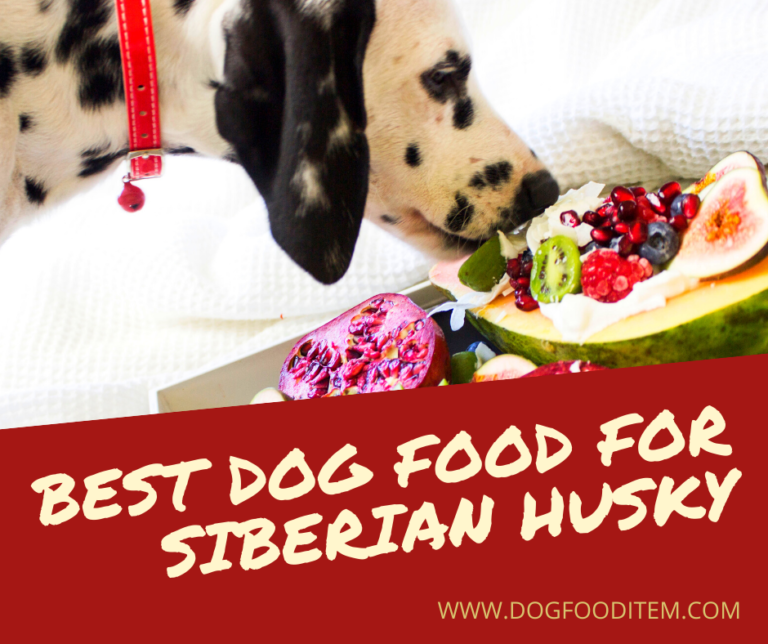 food for Siberian huskies