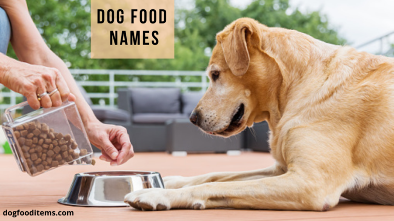 Dog Food Names