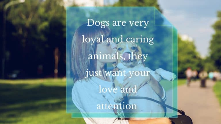 Best relationship advice for dog?