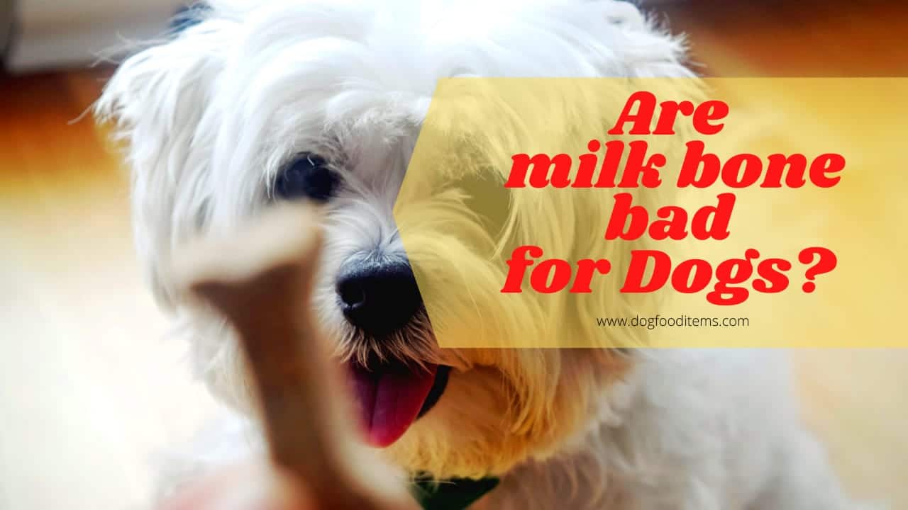 can milk bones give dogs diarrhea