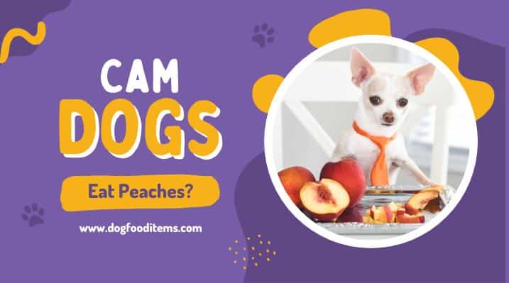 Can dog eat peaches?