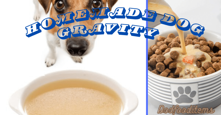 Homemade dog Gravy