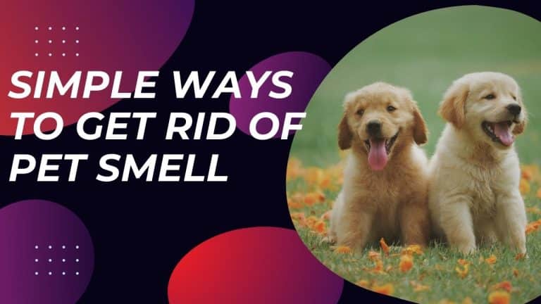 get Rid of Pet Smell