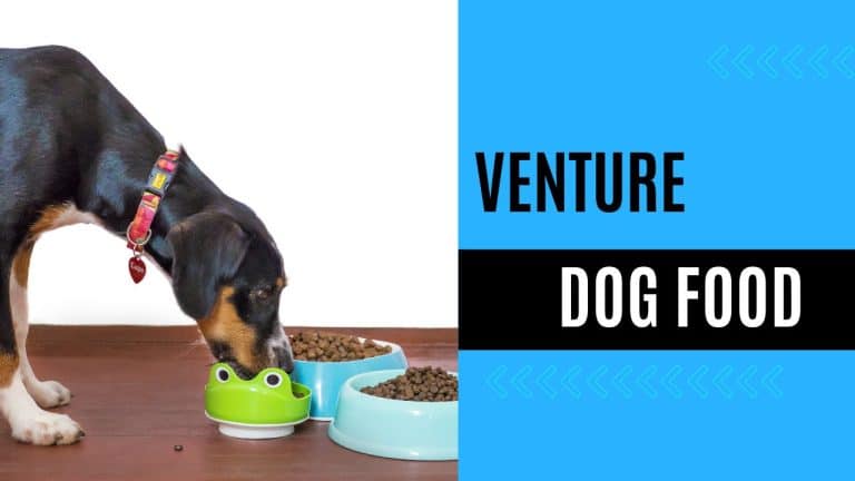 venture dog food